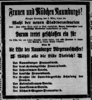 Abbildung Aufruf zur Wahl Naumburg 1919